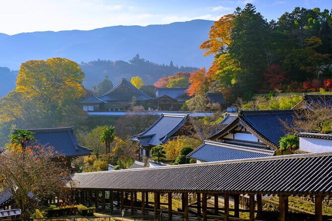 Relaxed Nara tour from Kyoto Hasedera and Muroji Temples - Who This Tour Is Best For