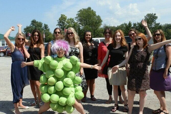 Relaxing Afternoon Wine Tour through Niagara's Wine Country - Introduction