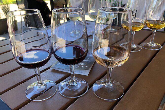 Relaxing Afternoon Wine Tour through Niagara's Wine Country - Key Points