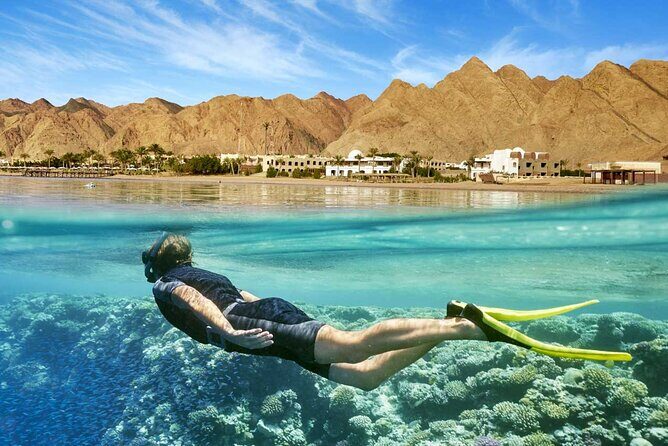 Relaxing Day Tour To Red Sea At Ain El Sokhna From Cairo - Key Points