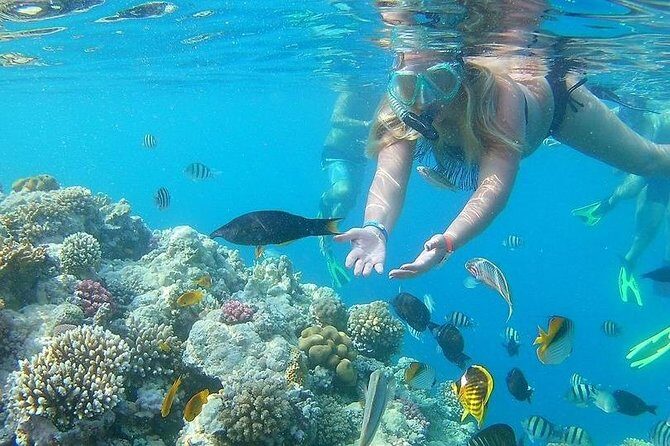 Relaxing Day Tour To Red Sea At Ain El Sokhna From Cairo - Value and Practical Tips