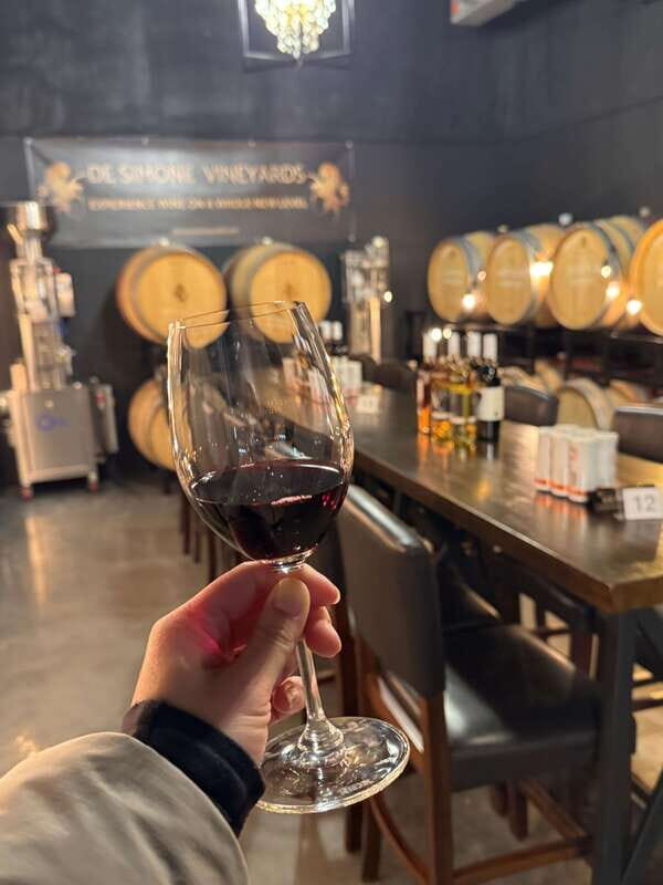 Relaxing Lunch & Wine Tour through Niagara's Wine Country - The Itinerary: What You Can Expect on This Tour