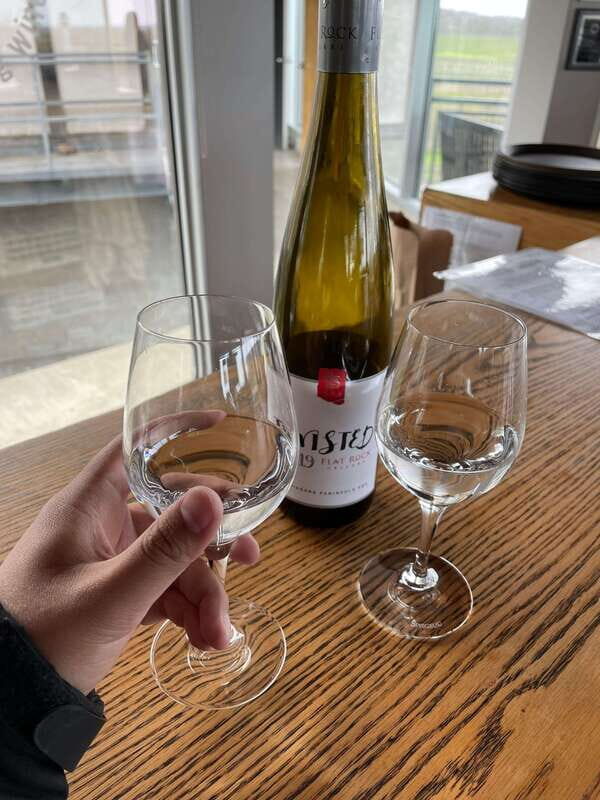 Relaxing Lunch & Wine Tour through Niagara's Wine Country - In-Depth Look at the Experience