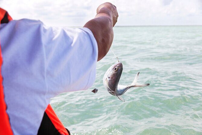 Relaxing private boat tour to Cabo Catoche with fishing - Why This Tour Is Worth Considering