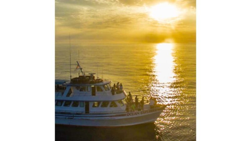 Relaxing Sunset/Evening Cruise in Newport Beach - Making the Most of Your Cruise