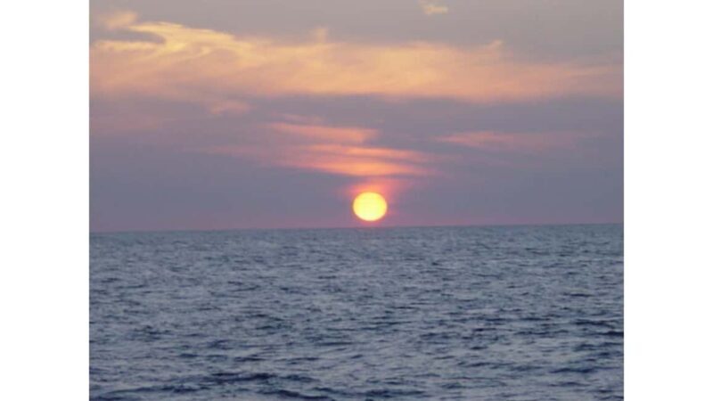 Relaxing Sunset/Evening Cruise in Newport Beach - Who Will Love This Experience?