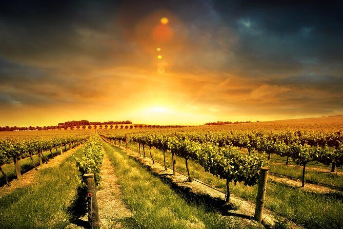 Relaxing three courses Lunch & Wine Tour through Niagara's Wine Country - An In-Depth Look at the Tour