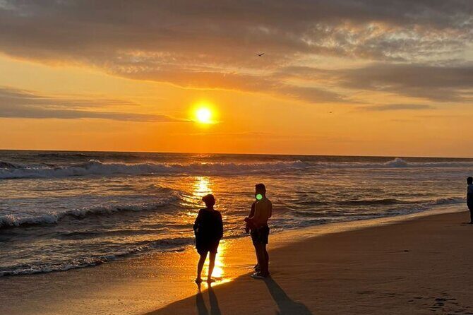 Release of Sea Turtles at Sunset - A Closer Look at the Experience