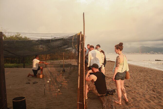 Release of Sea Turtles in Camp Tortuguero - Detailed Itinerary Breakdown
