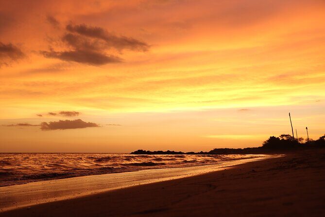 Release of Sea Turtles in Camp Tortuguero - Additional Tips for Travelers