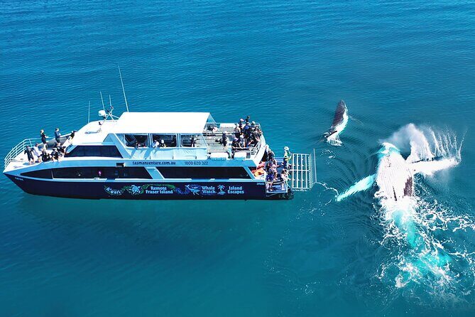 Remote K'gari (Fraser Island) & Whale Experience - Exploring the Tour Itinerary