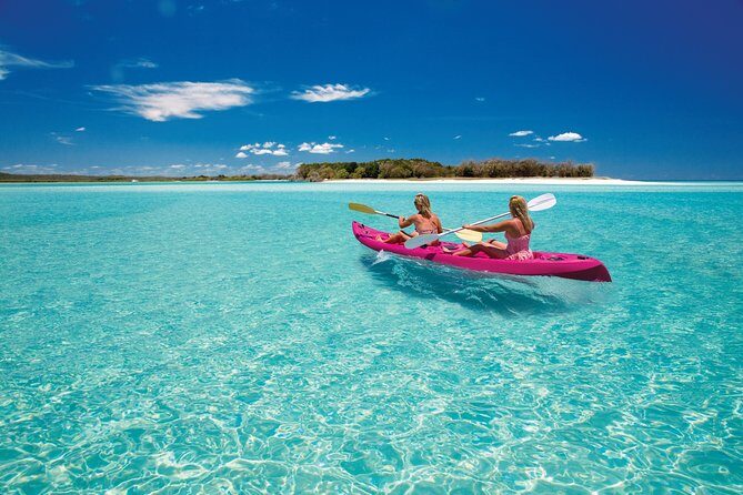 Remote K'gari (Fraser Island) & Whale Experience - The Value of the Experience