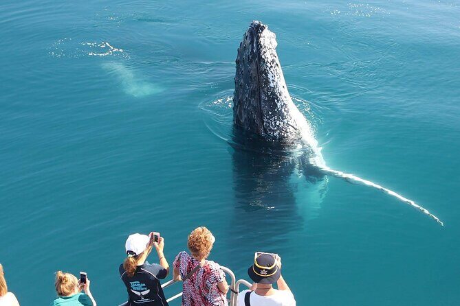 Remote K'gari (Fraser Island) & Whale Experience - FAQ: Your Questions Answered