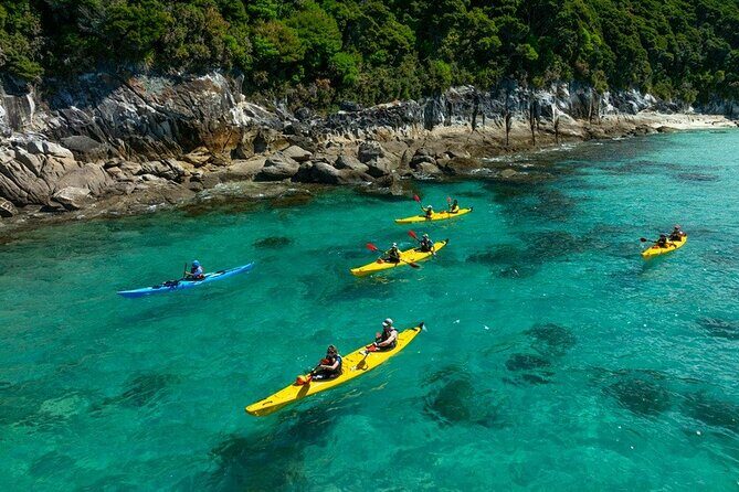 Remote Marine Reserve - Guided Kayaking - New Zealand - Practical Details: What to Expect