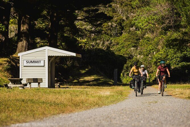 Remutaka Rail Trail eBike Explorer Cycle Tour - The Descent and Wairarapa