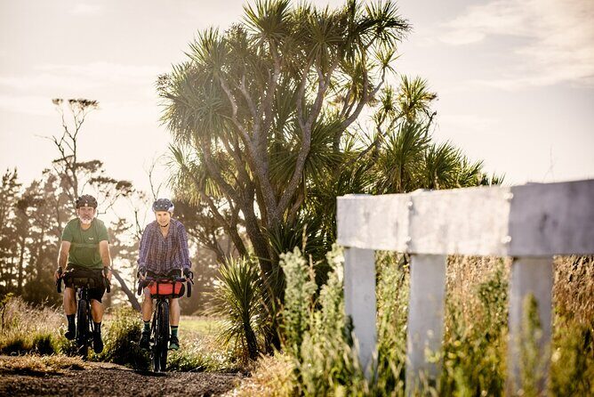 Remutaka Rail Trail eBike Explorer Cycle Tour - Is This Tour Right for You?