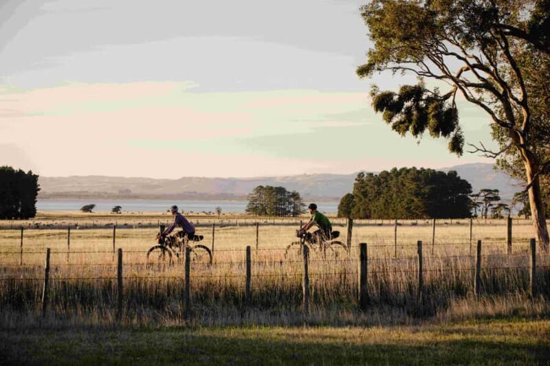 Remutaka Rail Trail eBike Shore Excursion for Cruise Ships - Key Points