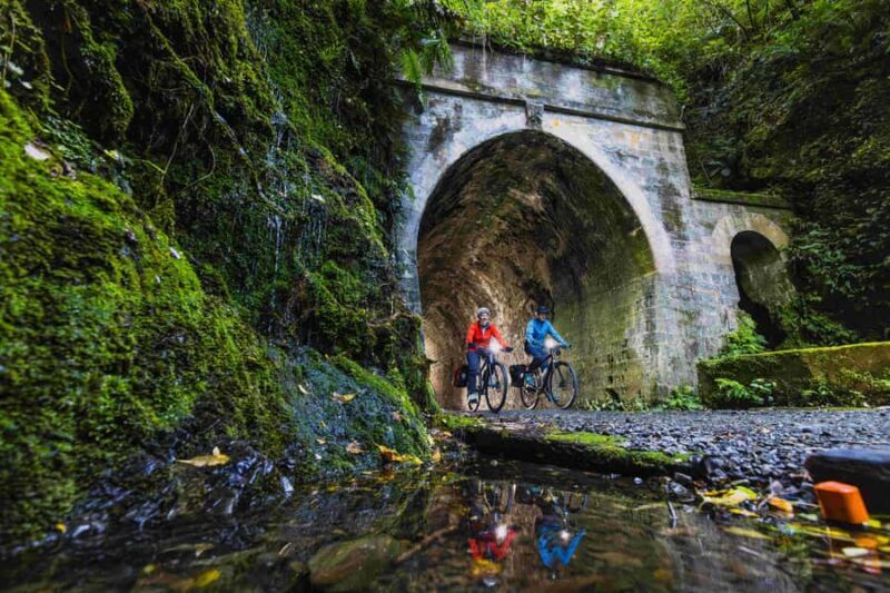 Remutaka Rail Trail eBike Shore Excursion for Cruise Ships - What Makes This Tour Special?