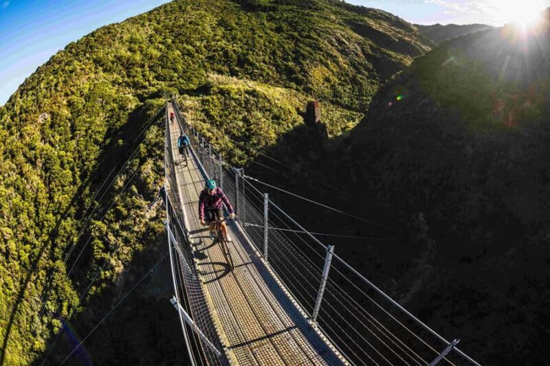 Remutaka Rail Trail eBike Shore Excursion for Cruise Ships - Who Will Love This Experience?