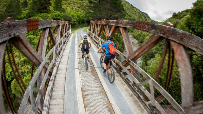 Remutaka Rail Trail eBike Shore Excursion for Cruise Ships - The Summit and Picnic