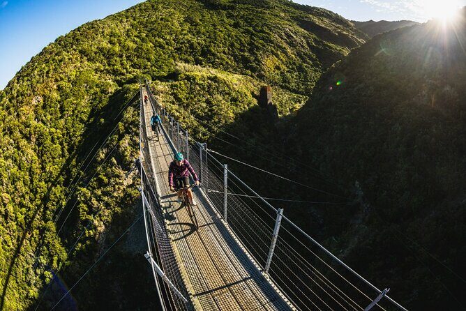 Remutaka Rail Trail Explorer - eBike Cruise Ship Shore Excursion - Who Will Love This Tour?