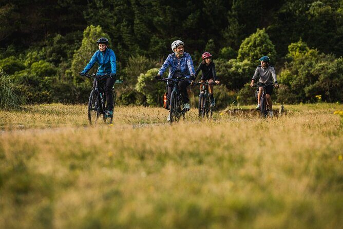 Remutaka Rail Trail Mountain Bike Explorer Cycle Tour - The Price and Why It’s Worth It