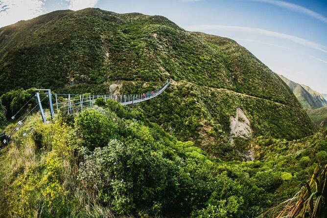 Remutaka Rail Trail- Wellington eBike Cruise Ship Shore Excursion - Timing and Practicalities