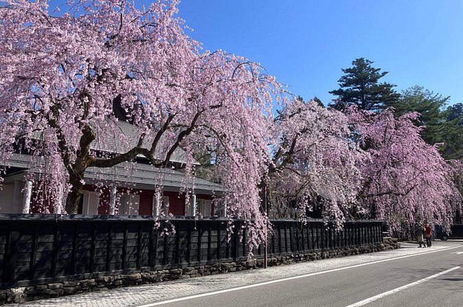 Rental Bicycle with Electric Assist / Satoyama Cycling Tour - The Sum Up: Is This Tour Right for You?