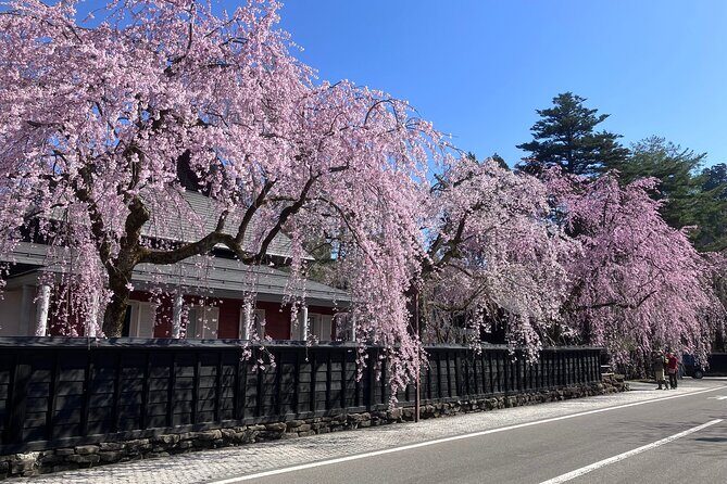 Rental Bicycle with Electric Assist / Satoyama Cycling Tour - FAQ