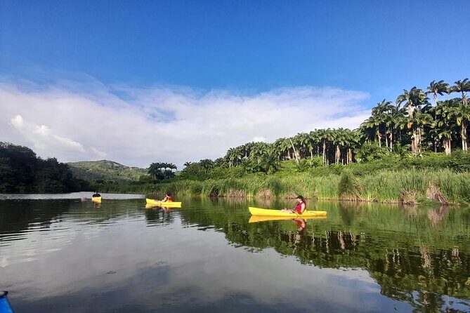 Rental Kayaking or Stand-up Paddle 2H - Key Points
