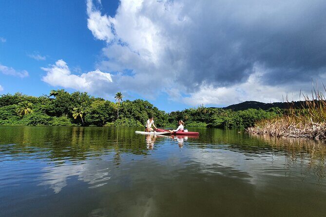 Rental Kayaking or Stand-up Paddle 2H - What the Tour Entails