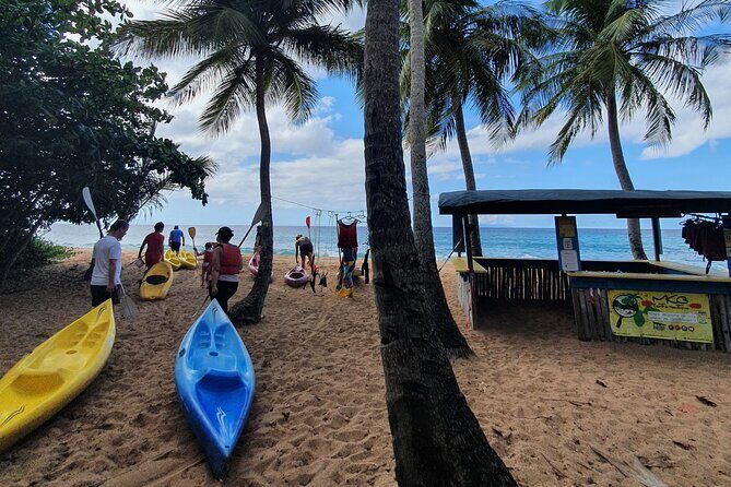 Rental Kayaking or Stand-up Paddle 2H - Final Thoughts for Potential Participants