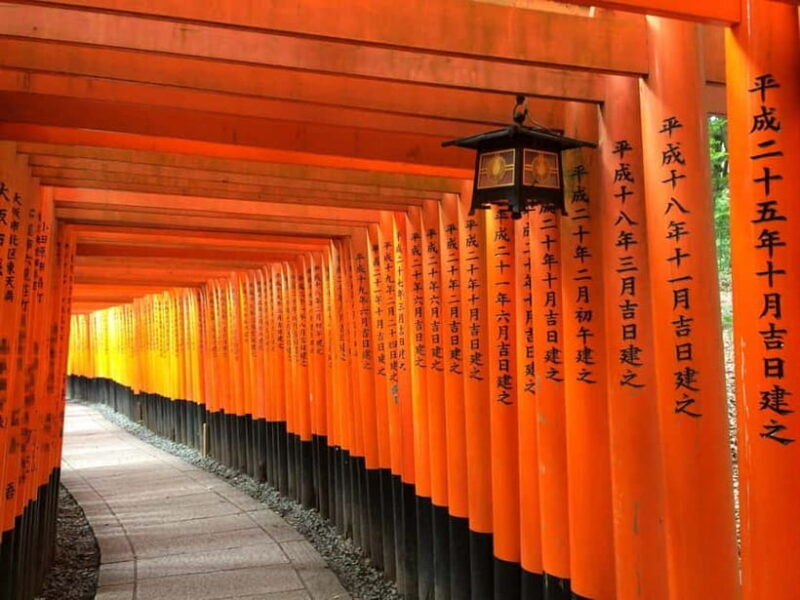 Rental Motorcycle Tour in Kyoto: South & East Heritage - Who Should Consider This Tour?