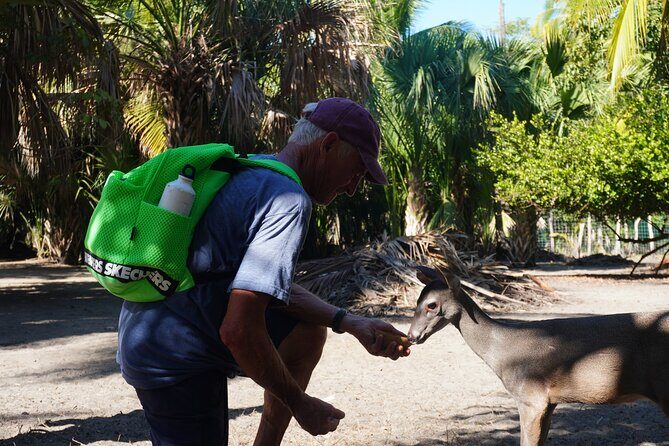 Reptile Eco Tour in Oaxacas Coastal Communities - The Sum Up