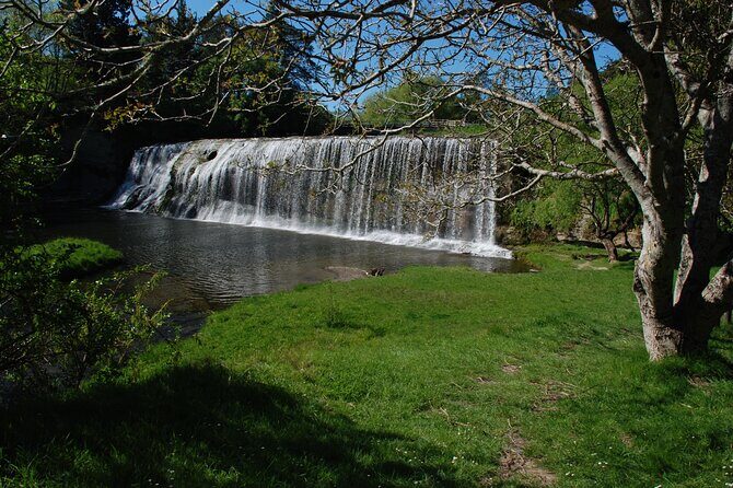 Rere Falls & Eastwoodhill Arboretum Tour with Refreshments - Refreshments and Relaxation: A Thoughtful Touch