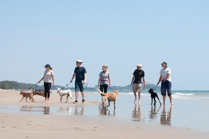 Rescue P.A.W.S. Day Visit - Final Thoughts: Is It for You?