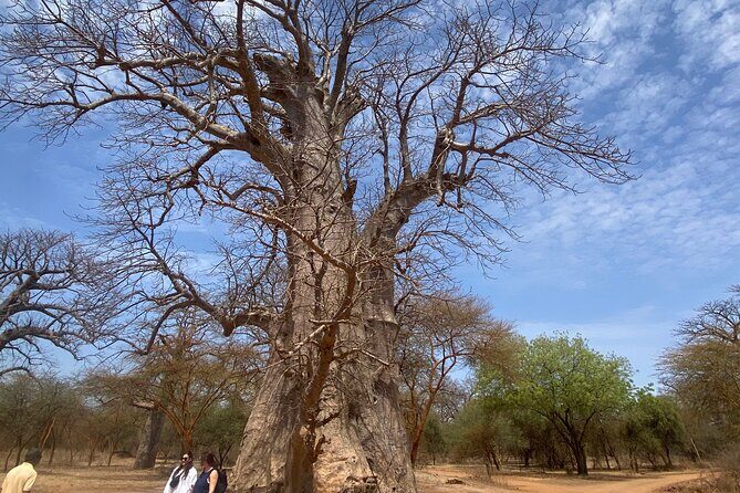 Reserve of Bandia - Who Will Love This Tour?