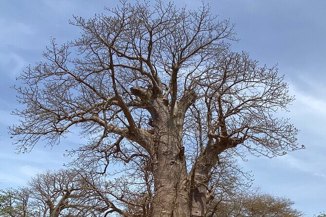 Reserve of Bandia - FAQs