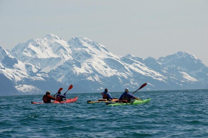 Resurrection Bay Kayaking Adventure - Who Will Love This Tour?