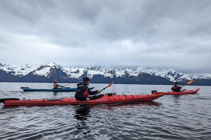 Resurrection Bay Waterfall And Rainforest Adventure - Final Thoughts: Is It Worth It?