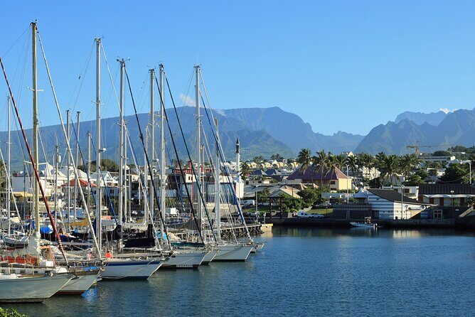 Reunion Island: 8-Hour Private Tour Through 8 Inescapable Sites - What to Expect from the Tour