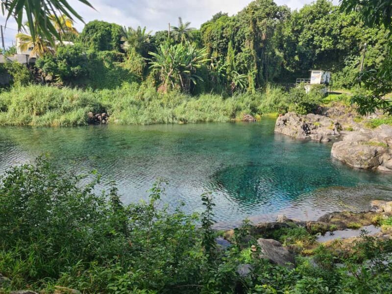 Reunion Island: Full-Day Tour for 4 personels - An In-Depth Look at the Tour Experience