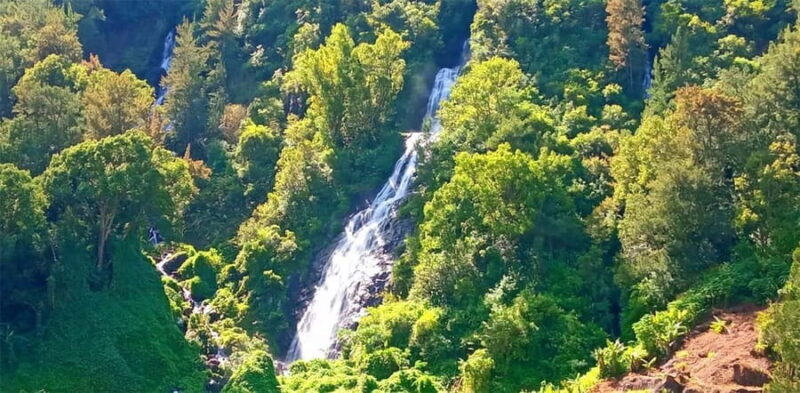 Reunion Island: Salazie Sightseeing tour with driver guide - Key Points