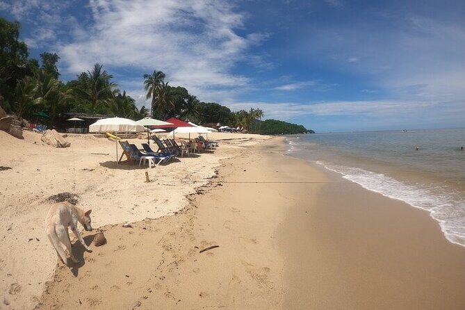 Rey Spearo - Enchanting And Romantic Custom Created Tours - FAQ