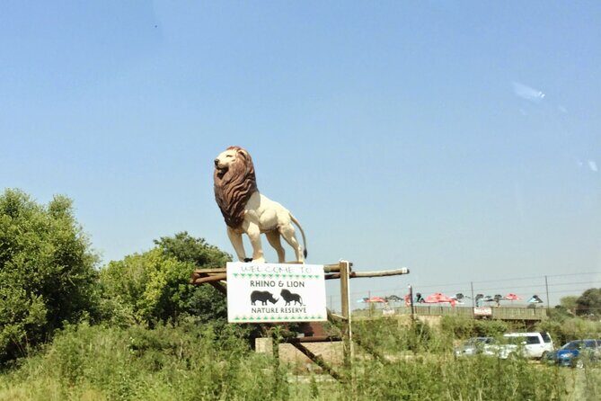 Rhino and Lion Park Safari Tour - Practical Details for Your Safari Day