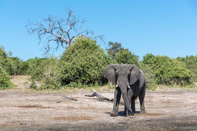 Rhino Game Drive - What to Expect from the Tour