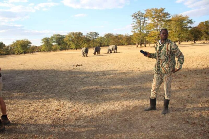 Rhino game drive - Mosi-oa-tunya national park - The Sum Up: Is It Worth It?