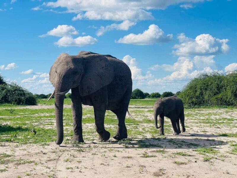 Rhino Game Drive - Key Points