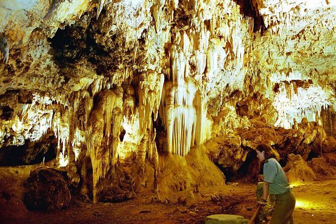 Rhino & Lion Nature Reserve & Wonder Caves - Authentic Experiences and Genuine Value