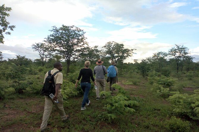 Rhino & Nature walk in the Musiotunya National Park - Introduction